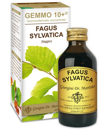 GEMMO 10+ FAGGIO 100 ML LIQUIDO ANALCOLICO - Farmafamily.it