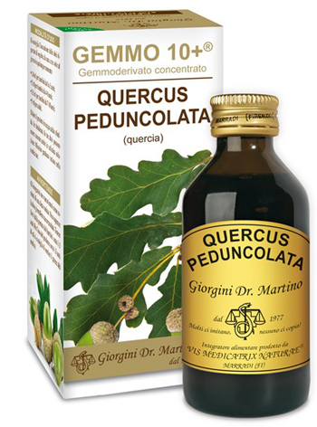 GEMMO 10+ QUERCIA 100 ML LIQUIDO ANALCOLICO - Farmafamily.it