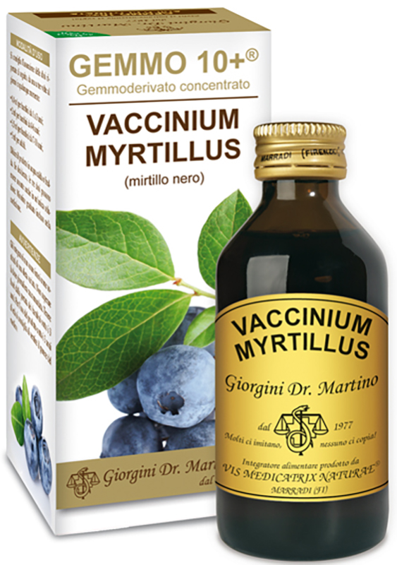 GEMMO 10+ GEMMODERIVATO CONCENTRATO VACCINIUM MYRTILLUS MIRTILLO NERO SENZA ALCOOL 100 ML - Farmafamily.it