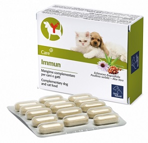 IMMUN 60 COMPRESSE - Farmafamily.it