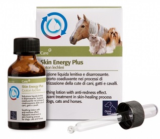AKIN ENERGY PLUS CROTON 20 ML - Farmafamily.it