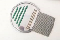 PETTINE ACCIAIO PER RIMOZIONE PIDOCCHI - Farmafamily.it