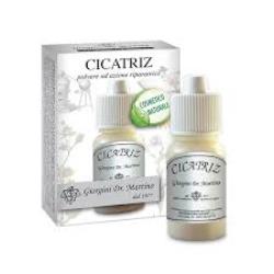 CICATRIZ POLVERE 10 G - Farmafamily.it