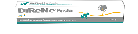 DIRENE PASTA 15 ML - Farmafamily.it