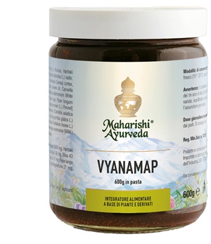 VYANAMAP PASTA 600 G - Farmafamily.it