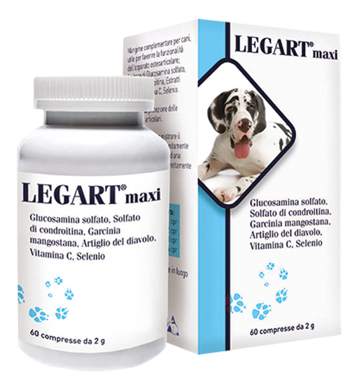 LEGART MAXI 60 COMPRESSE 2 G - Farmafamily.it