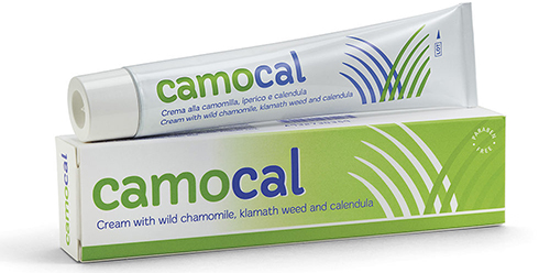 CREMA VEGETALE PER LE AFFEZIONI ANALI CAMOCAL 50 ML - Farmafamily.it