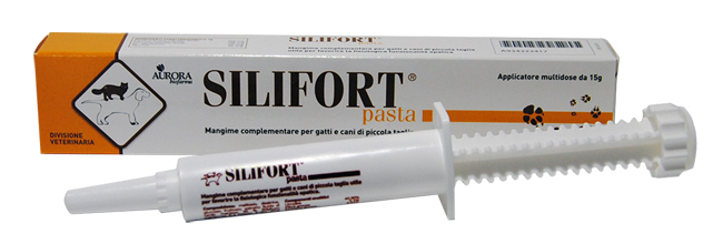 SILIFORT PASTA OS SIRINGA 15 G - Farmafamily.it