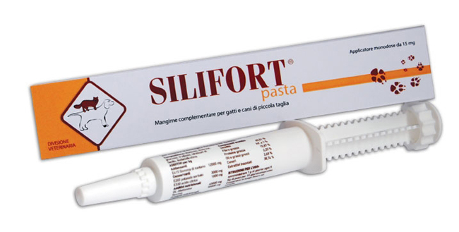 SILIFORT PASTA OS SIRINGA 30 G - Farmafamily.it
