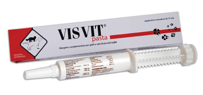 VISVIT PASTA OS SIRINGA 15 G - Farmafamily.it