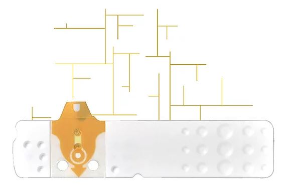 STRISCE MISURAZIONE GLICEMIA LINEA D ORO 50 PEZZI - Farmafamily.it