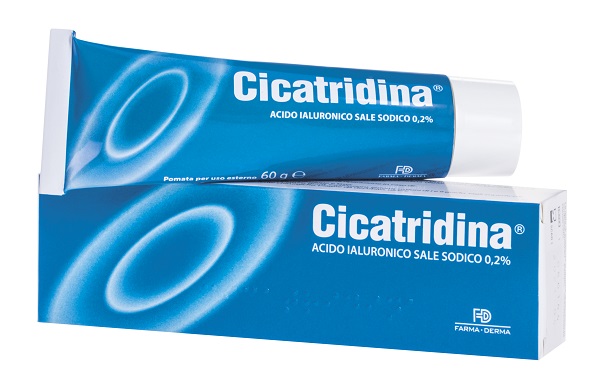 CICATRIDINA POMATA 60 G - Farmafamily.it