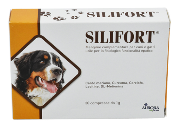 Silifort 30 Compresse  1 g - Farmafamily.it