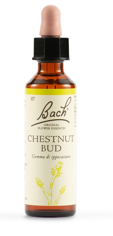 CHESTNUT BUD BACH ORIG 20 ML - Farmafamily.it