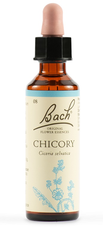 CHICORY BACH ORIG 20 ML - Farmafamily.it