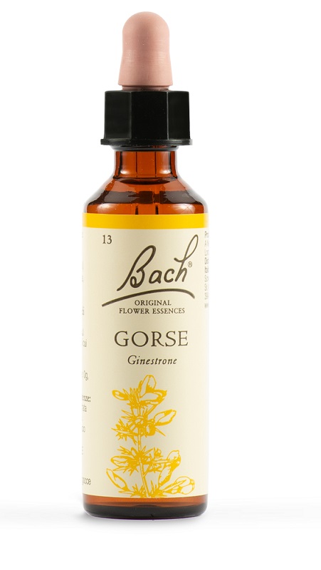 GORSE BACH ORIG 20 ML - Farmafamily.it