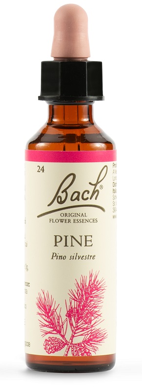 PINE BACH ORIG 20 ML - Farmafamily.it