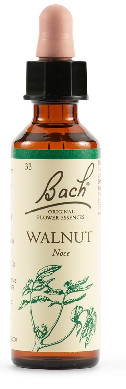 WALNUT BACH ORIG 20 ML - Farmafamily.it