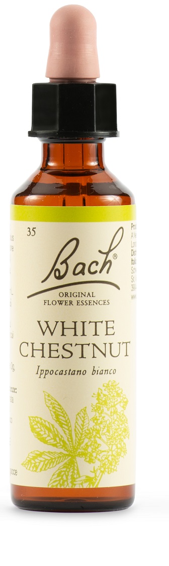 WHITE CHEST BACH ORIG 20 ML - Farmafamily.it