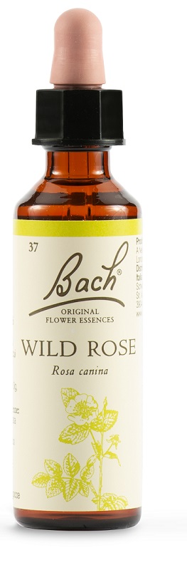 WILD ROSE BACH ORIG 20 ML - Farmafamily.it