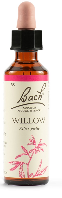 WILLOW BACH ORIG 20 ML - Farmafamily.it
