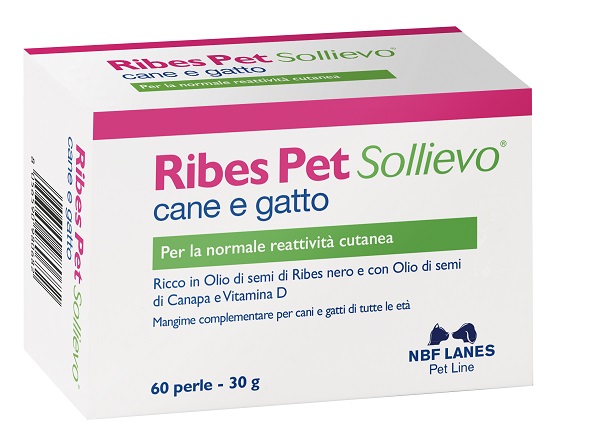 RIBES PET SOLLIEVO BLISTER 60 PERLE - Farmafamily.it