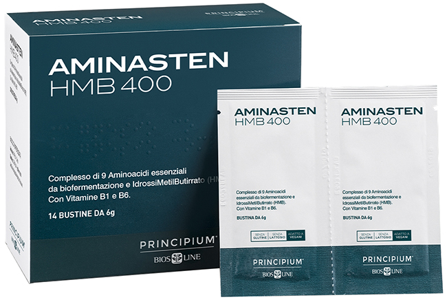 PRINCIPIUM AMINASTEN HMB400 14 BUSTINE 6 G - Farmafamily.it
