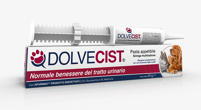 DOLVECIST PASTA SIRINGA 30 G - Farmafamily.it