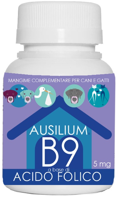 AUSILIUM B9 VET ACIDO FOLICO 100 G - Farmafamily.it