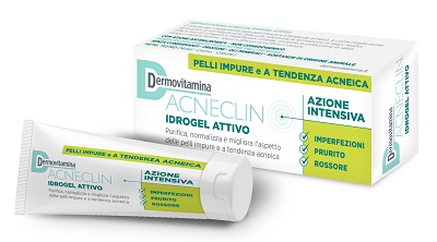 DERMOVITAMINA ACNECLIN IDROGEL ATTIVO AZIONE INTENSIVA 40 ML - Farmafamily.it