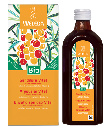 OLIVELLO SPINOSO VITAL SUCCO DI FRUTTA 250 ML - Farmafamily.it