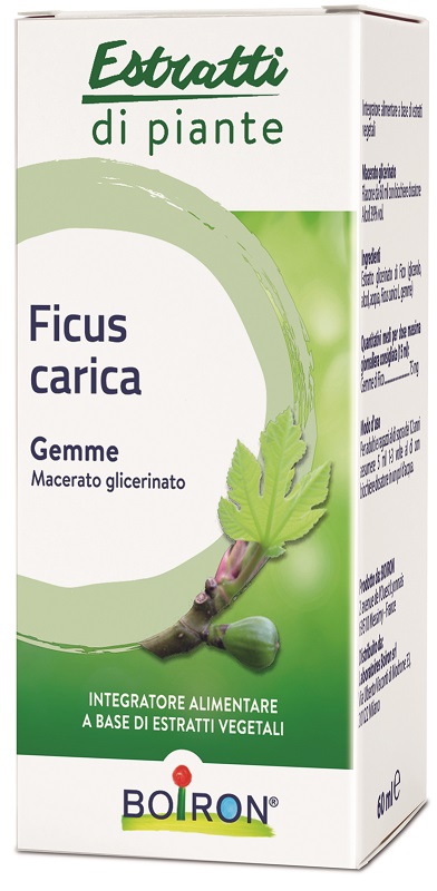 FICUS CARICA BOIRON MACERATO GLICERICO 60 ML - Farmafamily.it