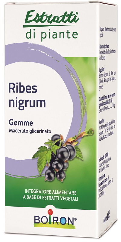 RIBES NIGRUM BOIRON MACERATO GLICERICO 60 ML - Farmafamily.it