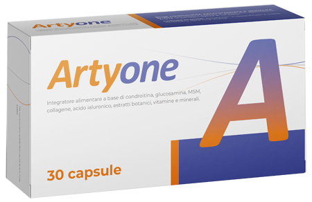 ARTYONE 30 CAPSULE - Farmafamily.it