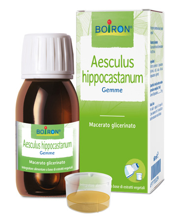 AESCULUS HIPP BOIRON MACERATO GLICERICO 60 ML - Farmafamily.it