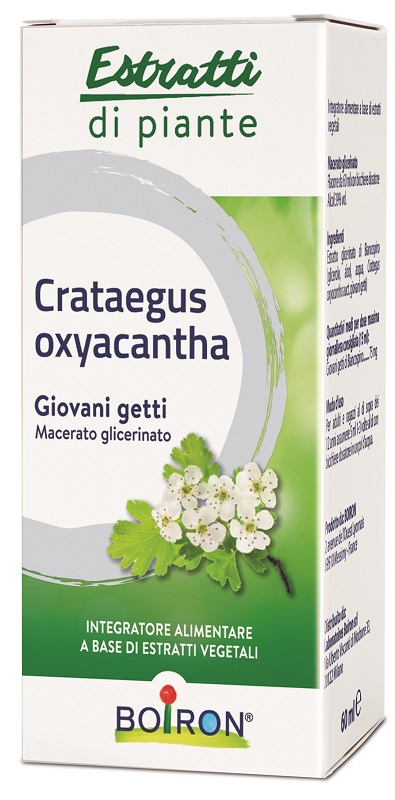 CRATAEGUS BOIRON MACERATO GLICERICO 60 ML - Farmafamily.it