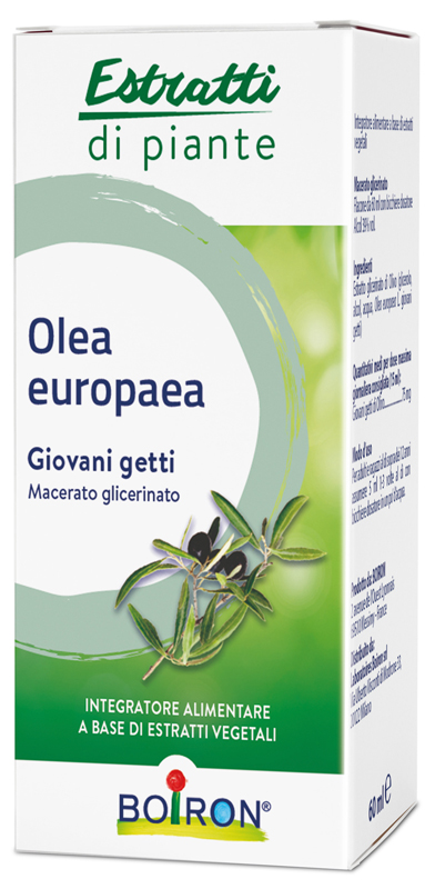 OLEA EUROPAEA BOIRON MACERATO GLICERICO 60 ML - Farmafamily.it