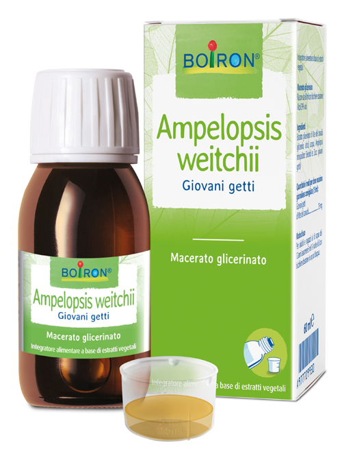 AMPELOPSIS WESTRATTO IDROALCOLICO BOIRON MACERATO GLICERICO 60 ML - Farmafamily.it