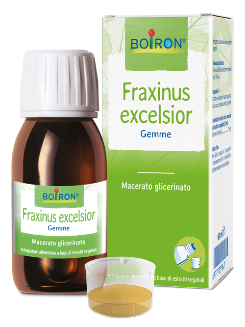 FRAXINUS EXCELSIOR MACERATO GLICERICO 60 ML INT - Farmafamily.it