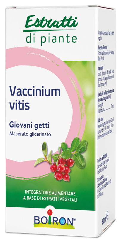 VACCINIUM VITIS MACERATO GLICERICO 60 ML - Farmafamily.it