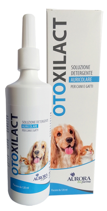 OTOXILACT DETERGENTE AURICOLARE - Farmafamily.it