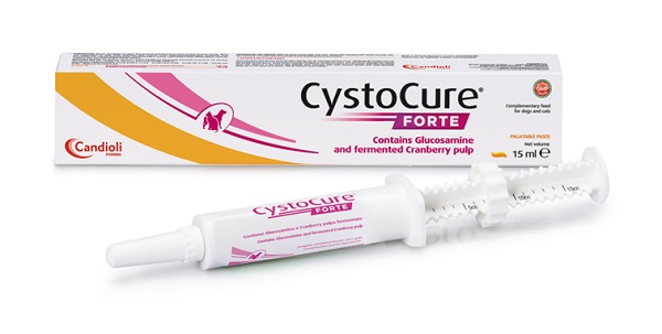 CYSTOCURE FORTE PASTA 15 ML - Farmafamily.it