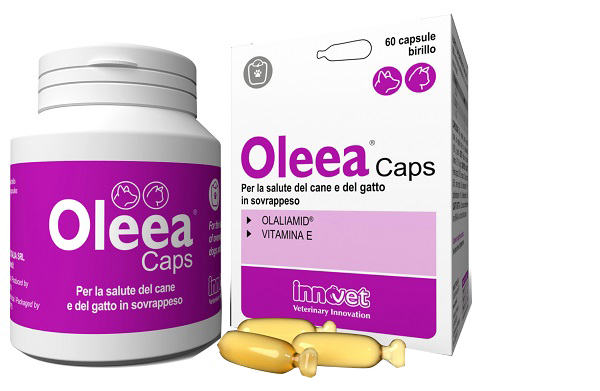 OLEEA CAPS 60 CAPSULE - Farmafamily.it