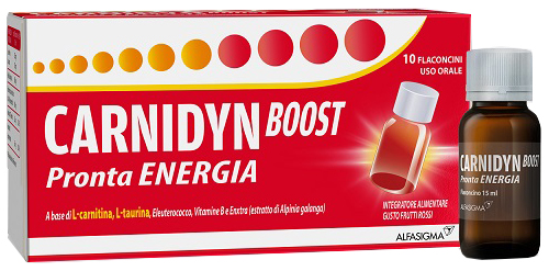 CARNIDYN BOOST 10 FLACONCINI - Farmafamily.it