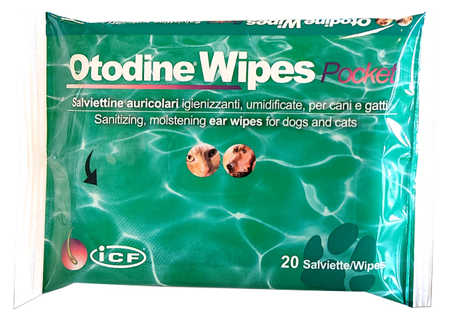 OTODINE WIPES POCKET 20 PEZZI - Farmafamily.it